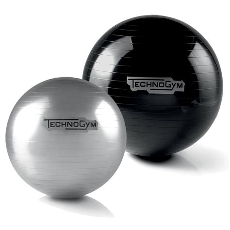 technogym exercise ball.